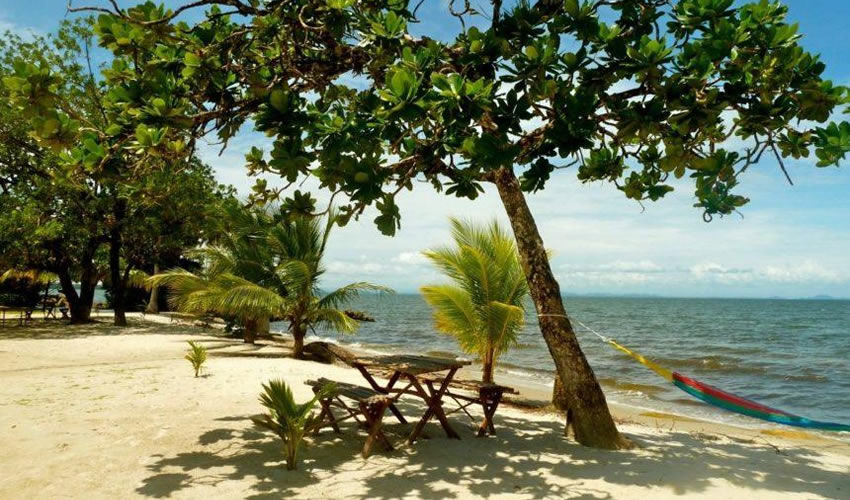 Caribbean Coast